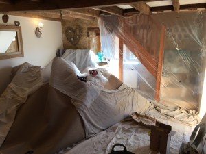 Stevies Sheeting Habit