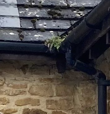 Checked your gutters lately? Five problems to look&nbsp;for…